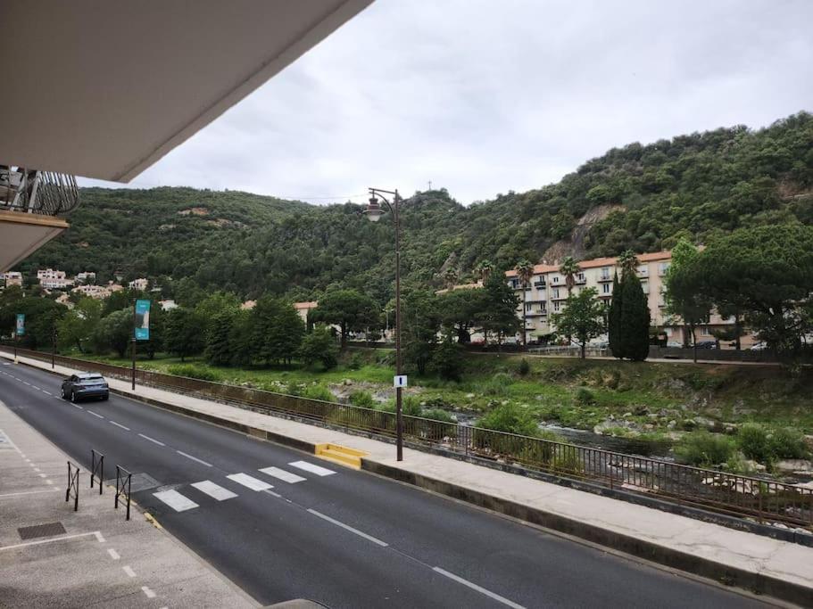 Residence Centrale Appartement 3 Pieces Garage Et Jardin Amélie-les-Bains-Palalda Εξωτερικό φωτογραφία