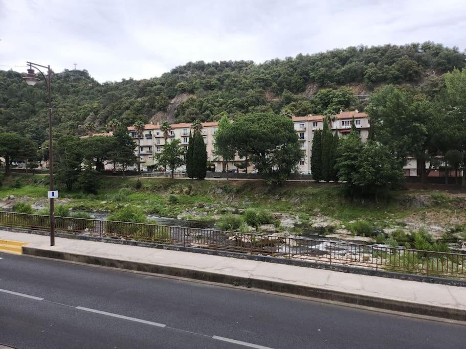 Residence Centrale Appartement 3 Pieces Garage Et Jardin Amélie-les-Bains-Palalda Εξωτερικό φωτογραφία