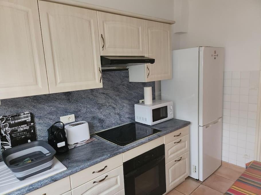 Residence Centrale Appartement 3 Pieces Garage Et Jardin Amélie-les-Bains-Palalda Εξωτερικό φωτογραφία